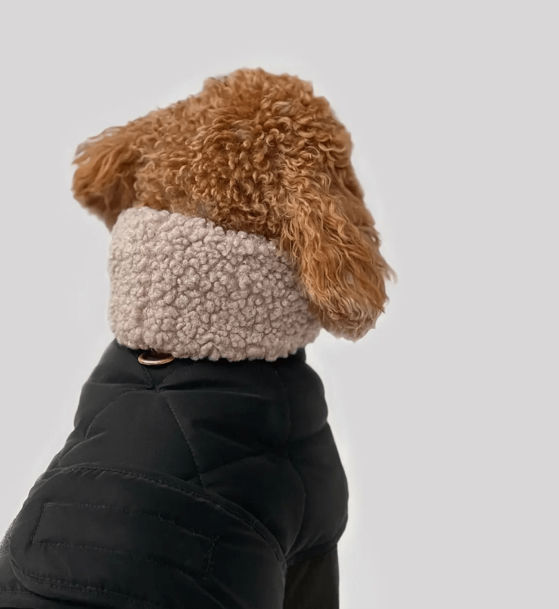 Попона CHOUCHOU зимова для собак "Waffle" чорна з тауп хутром