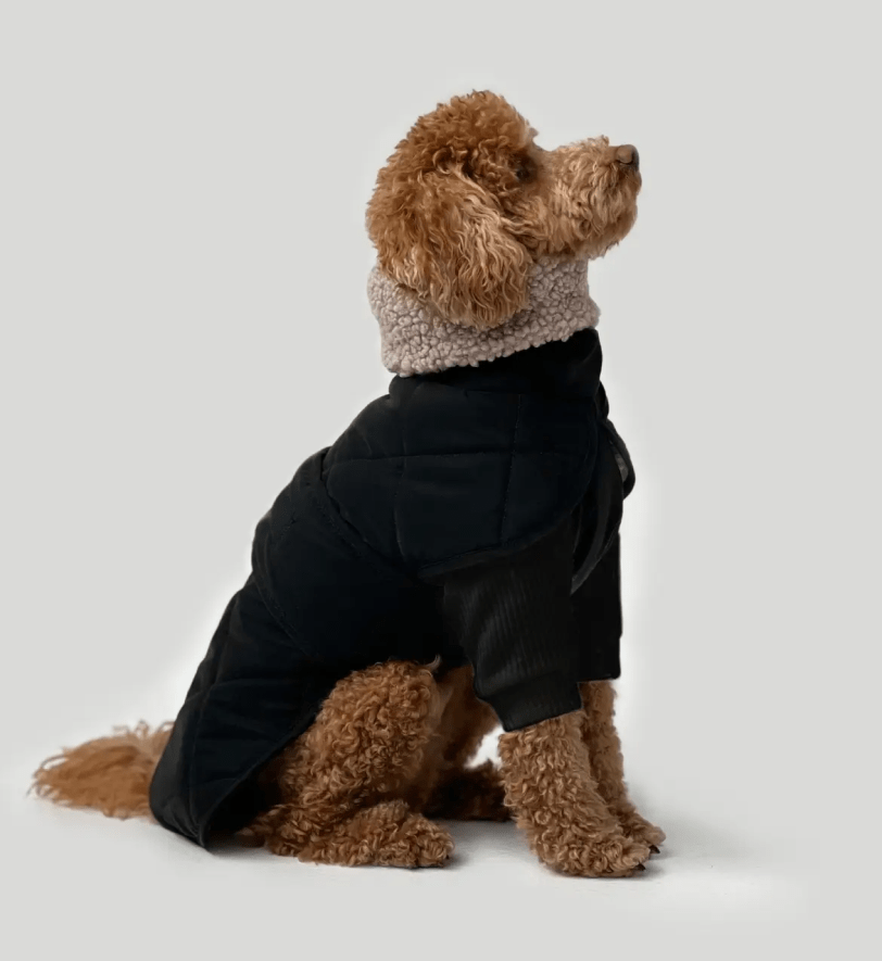 Попона CHOUCHOU зимова для собак "Waffle" чорна з тауп хутром