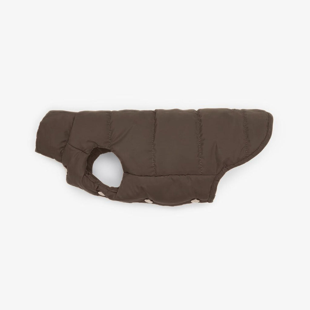 Puffer vest for dogs 