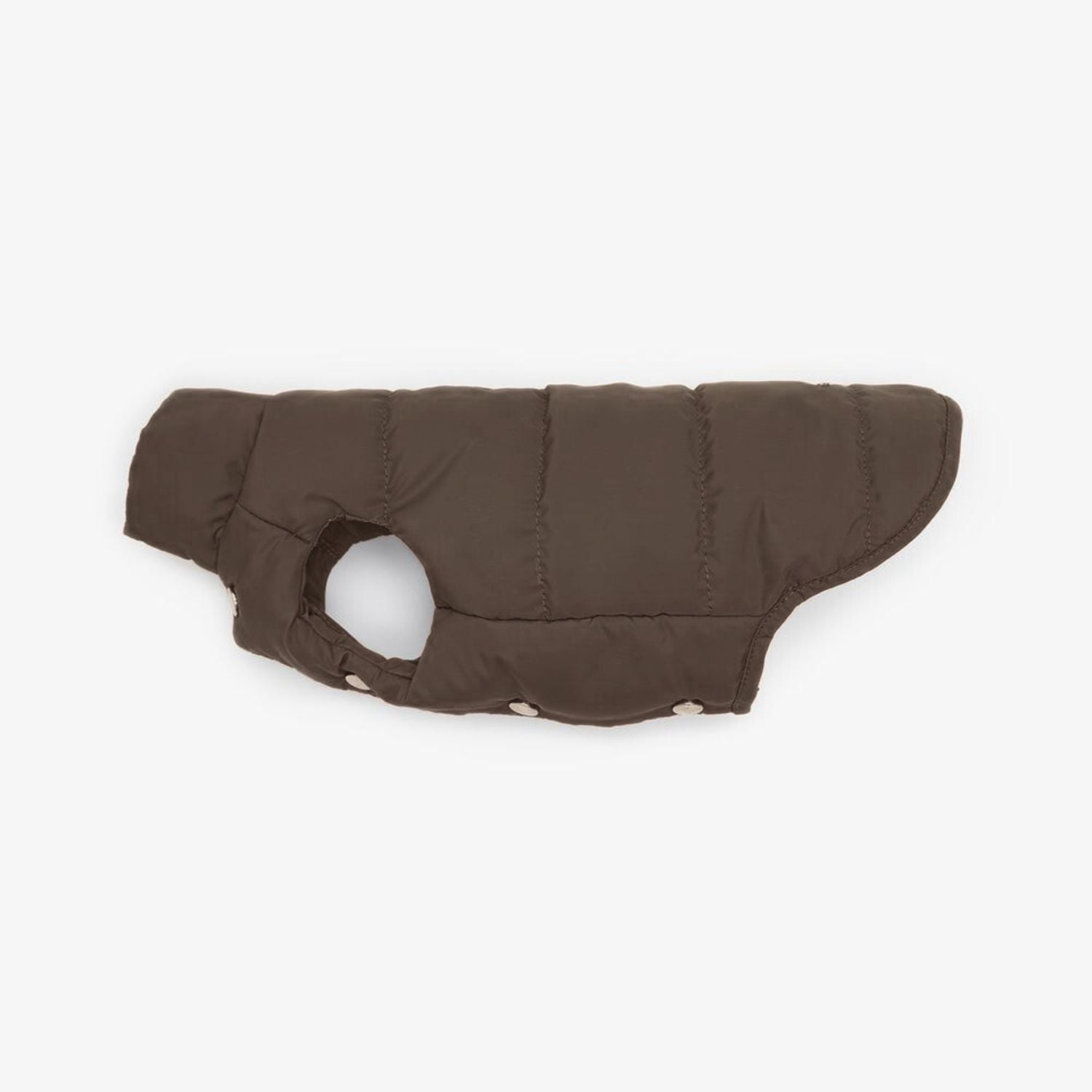 Puffer vest for dogs 