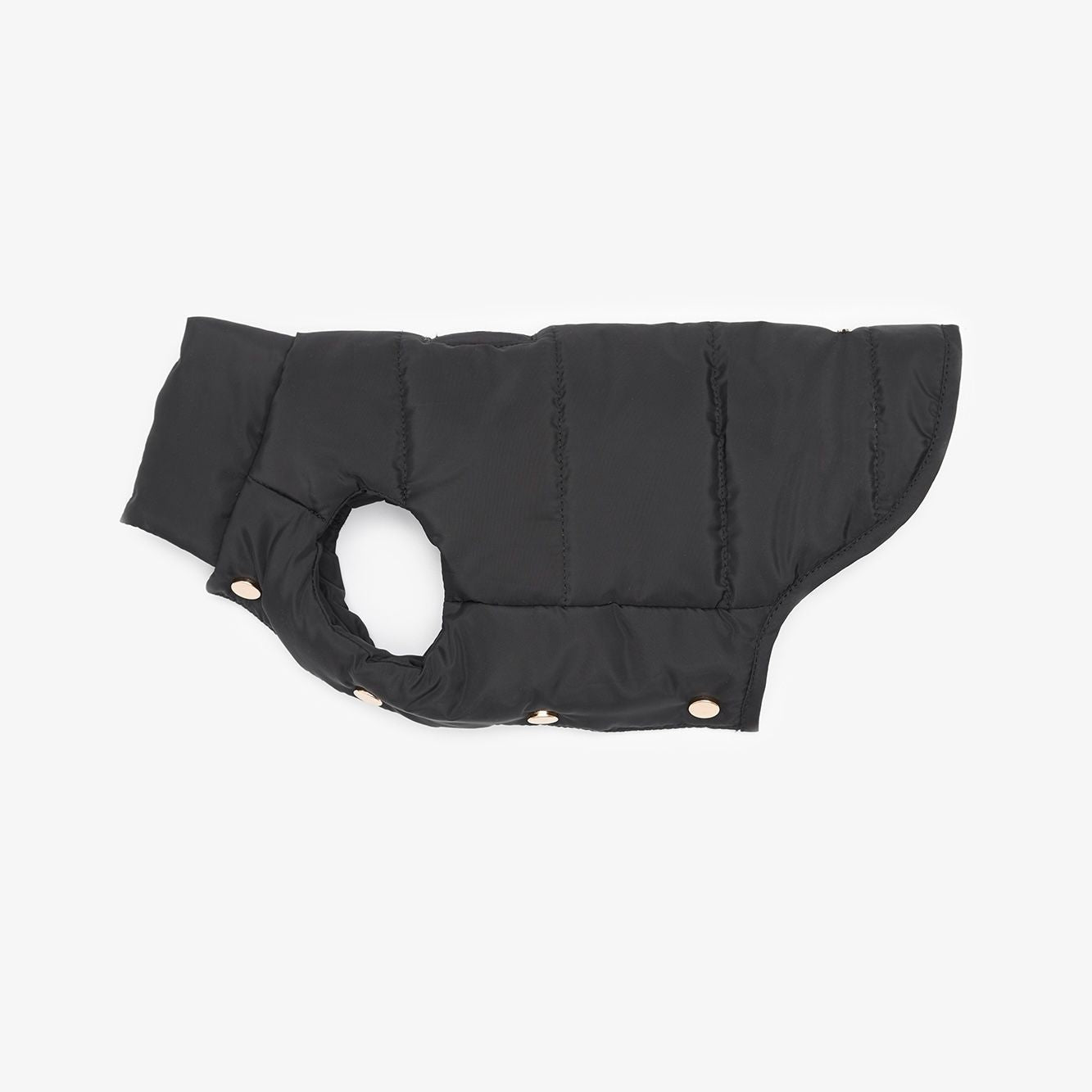 Puffer vest for dogs 