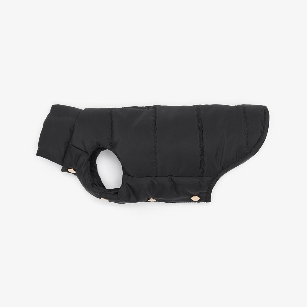 Puffer vest for dogs 