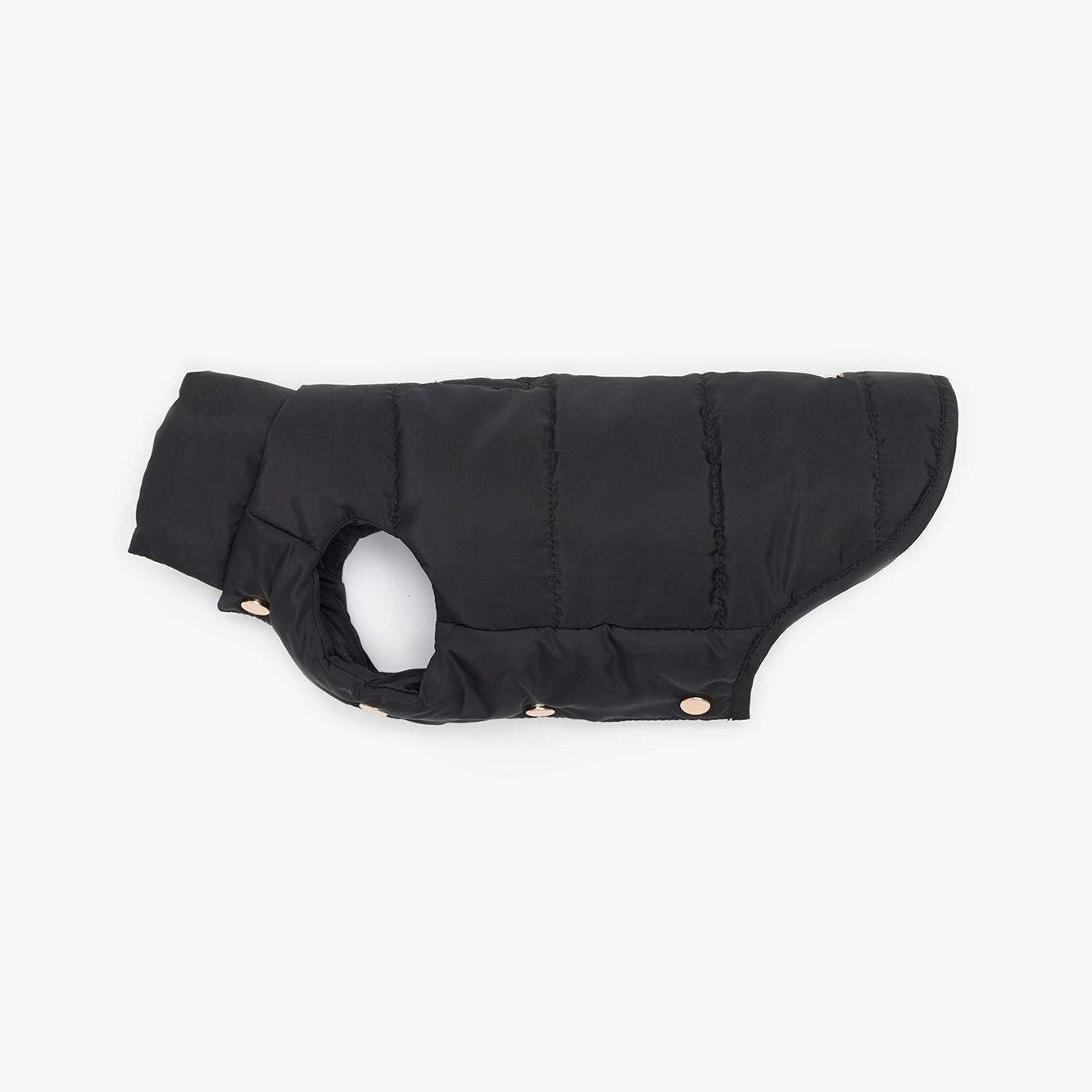 Puffer vest for dogs 